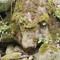 Faces Of The Smokies 1