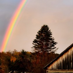 Morning Rainbow Over Barn