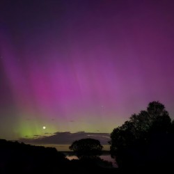Aurora 6