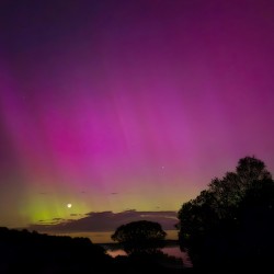 Aurora 9