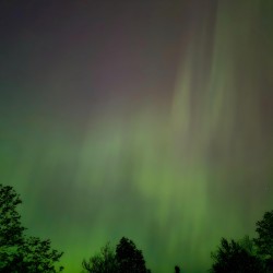 Aurora 1