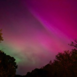 Aurora 5