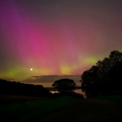 Aurora 12