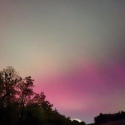 Aurora 3