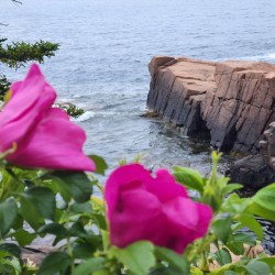 Acadia Point