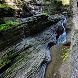 Watkins Glen State Park 2
