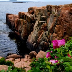 Acadia Coast