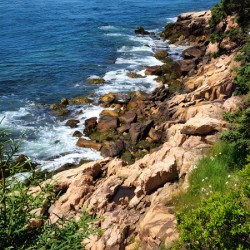 Coastal Maine