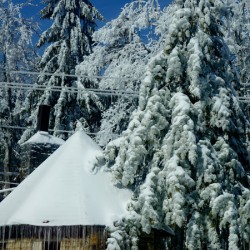 Laurel Mountain Winter