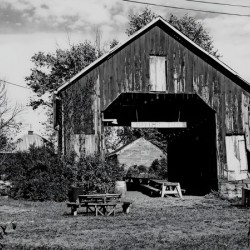 Maryland Barn