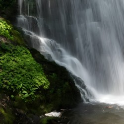 Bushkill Falls