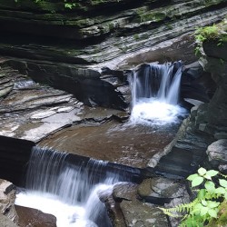 Watkins Glen State Park 1
