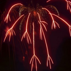 Fireworks Red Dragon