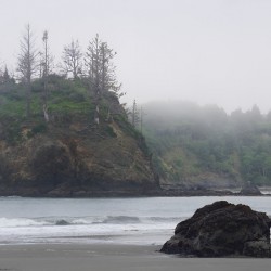 Pacific Coast Mist