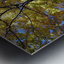 Golden Tree Metal print