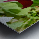 Red Trillium Nodding Metal print