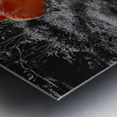 Flamingos Tucked Metal print