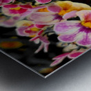 Orchids 1 Metal print