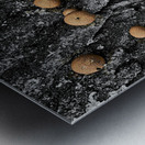 Puffball Mushrooms Metal print