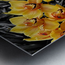 Orchids 3 Metal print