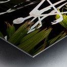 Ghostly Aliens Metal print