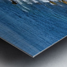 Coastal Maine Metal print