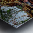 Iron Oxide Melt Metal print