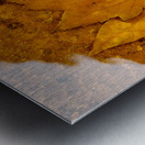 Red Maple Encased In Iron Oxide Metal print