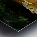 Carnahan Run Metal print