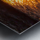 Golden Ocean Metal print