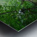 Roaring Run Metal print