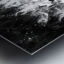 Sequoia Root Wad Metal print