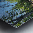 Clear Shade Creek Metal print