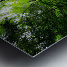 Laurel Run Metal print