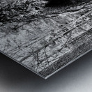 Natural A Metal print