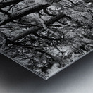 Evergreen Trident Metal print