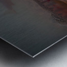 Shade Brook Trout Fave 1 Metal print