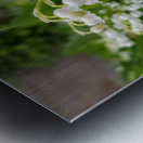 Lily Of The Valley Metal print