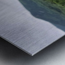 White Mountain Lupines Metal print