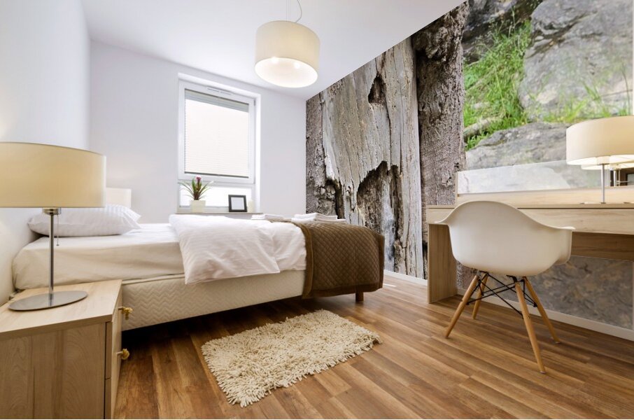 Faces Of The Smokies 4 Mural print