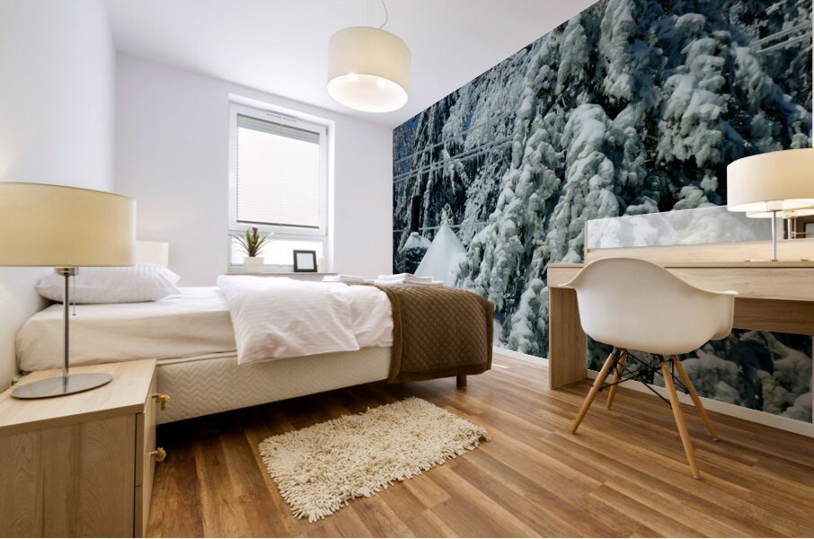 Laurel Mountain Winter Mural print