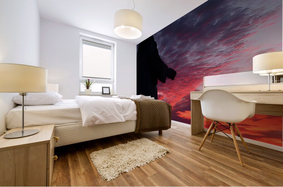 Statue n Sunset Mural print