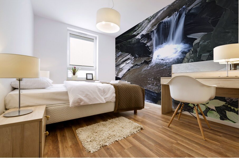Watkins Glen State Park 1 Mural print