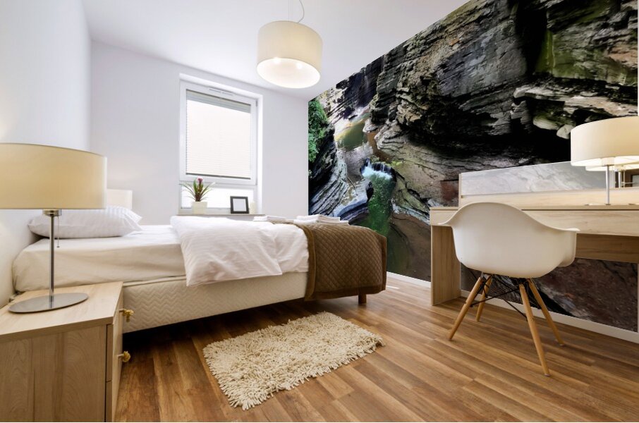 Watkins Glen State Park Mural print