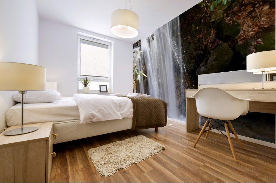 Waterfall Mural print