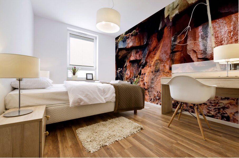 Iron Oxide Melt Mural print