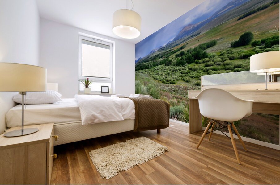 Sierra Nevada Mural print