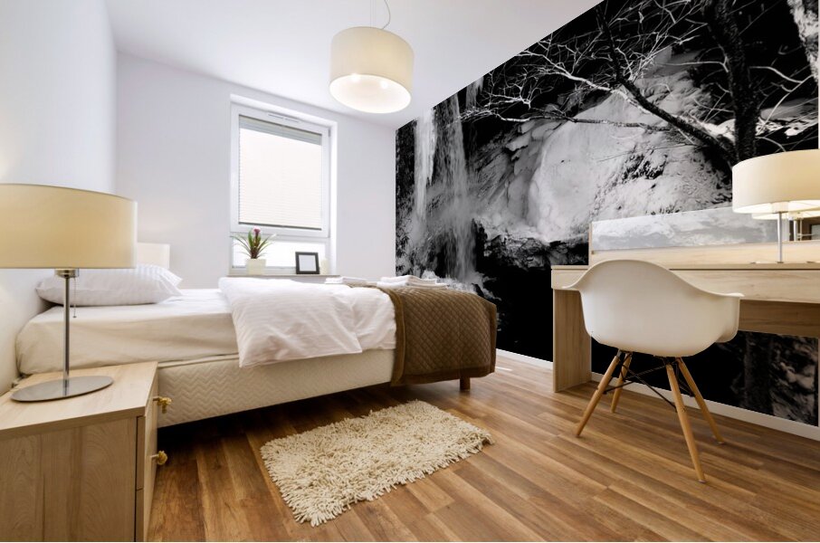 Cucumber Falls Mural print