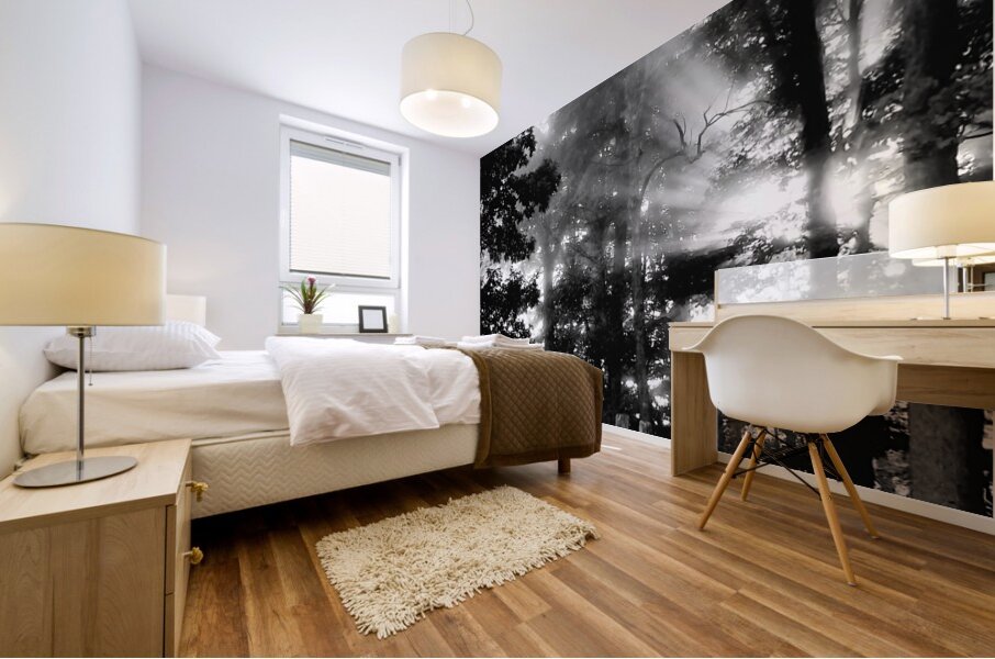 Misty Morning Rays Mural print