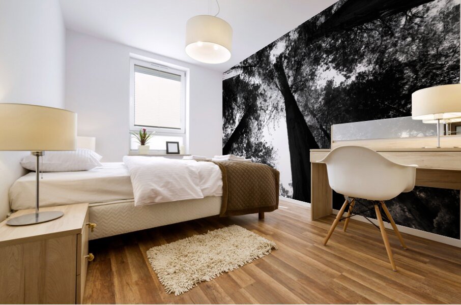 Redwoods Mural print